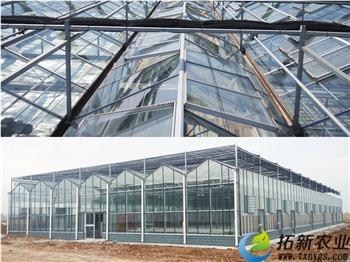 探秘现代玻璃温室 价格上涨驱动与节本增效的法宝