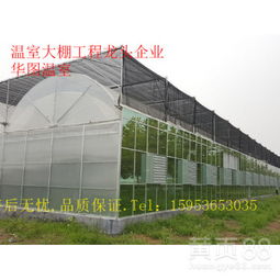 智能连栋温室大棚 定制化设计，引领现代农业新未来